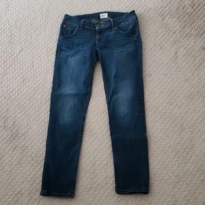 Hudson ankle length jeans